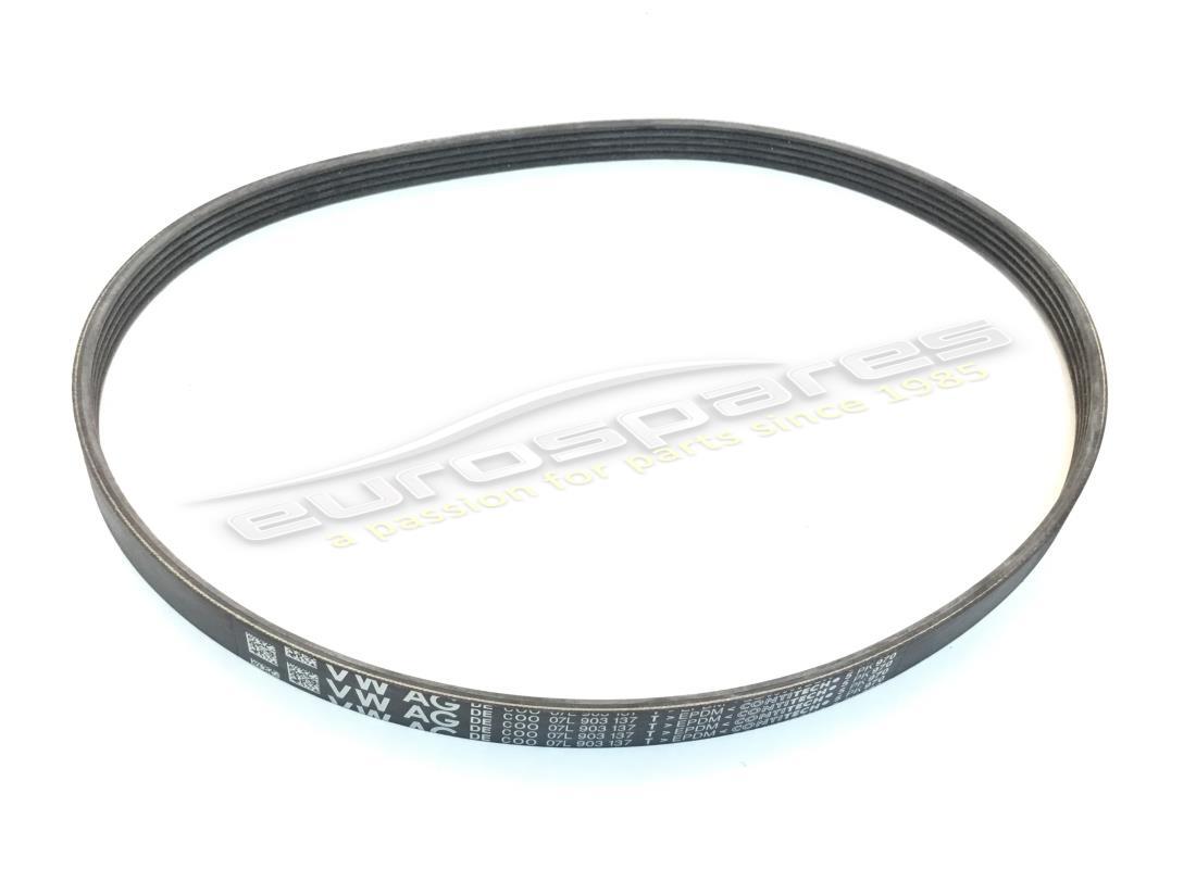 nuova lamborghini cinghia poly-v w17hdz. numero parte 07l903137t (1)