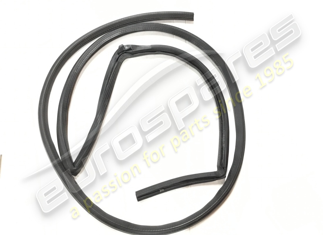 usata ferrari gomma gts per tetto posteriore/portiera. numero parte 64338900 (4)