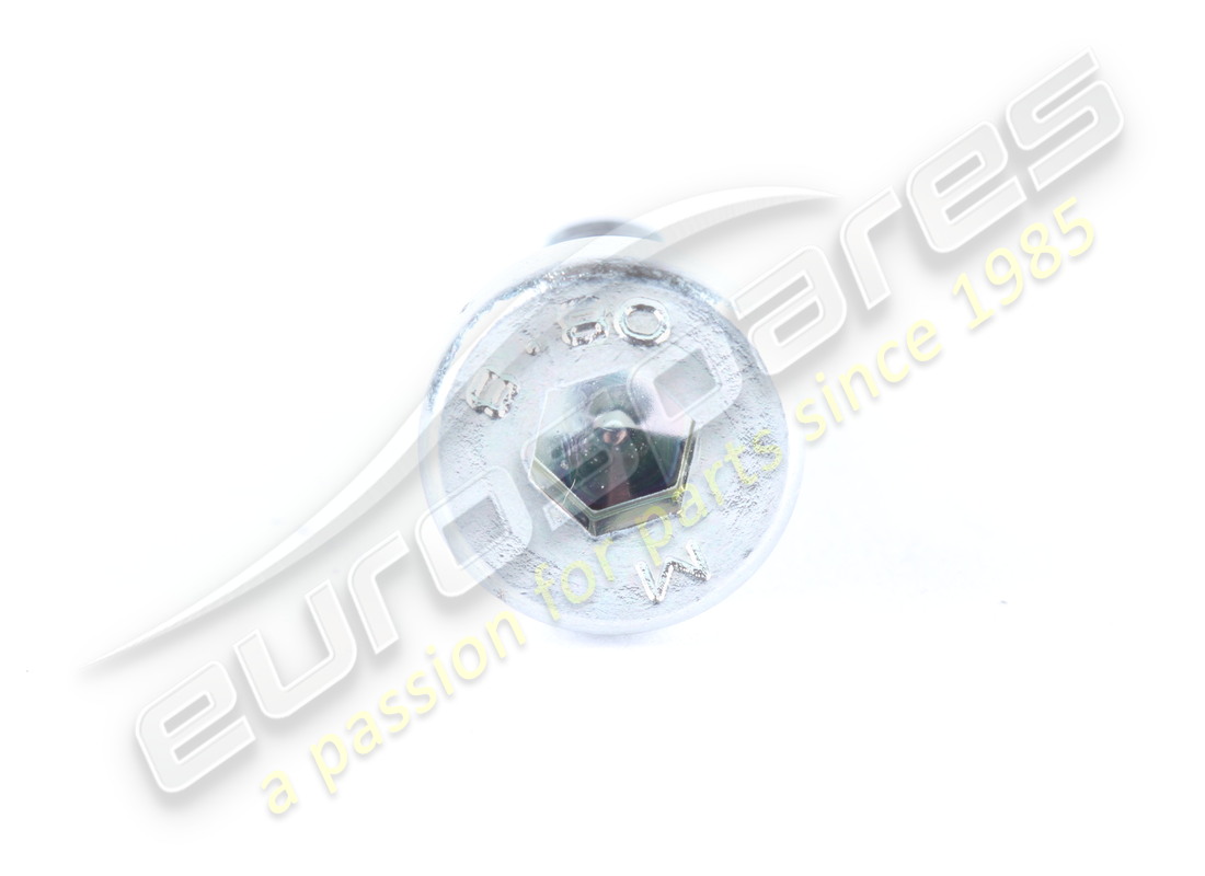 NUOVA VITE FERRARI. NUMERO PARTE 40294308 (2) nuova vite ferrari. numero parte 40294308 (2)