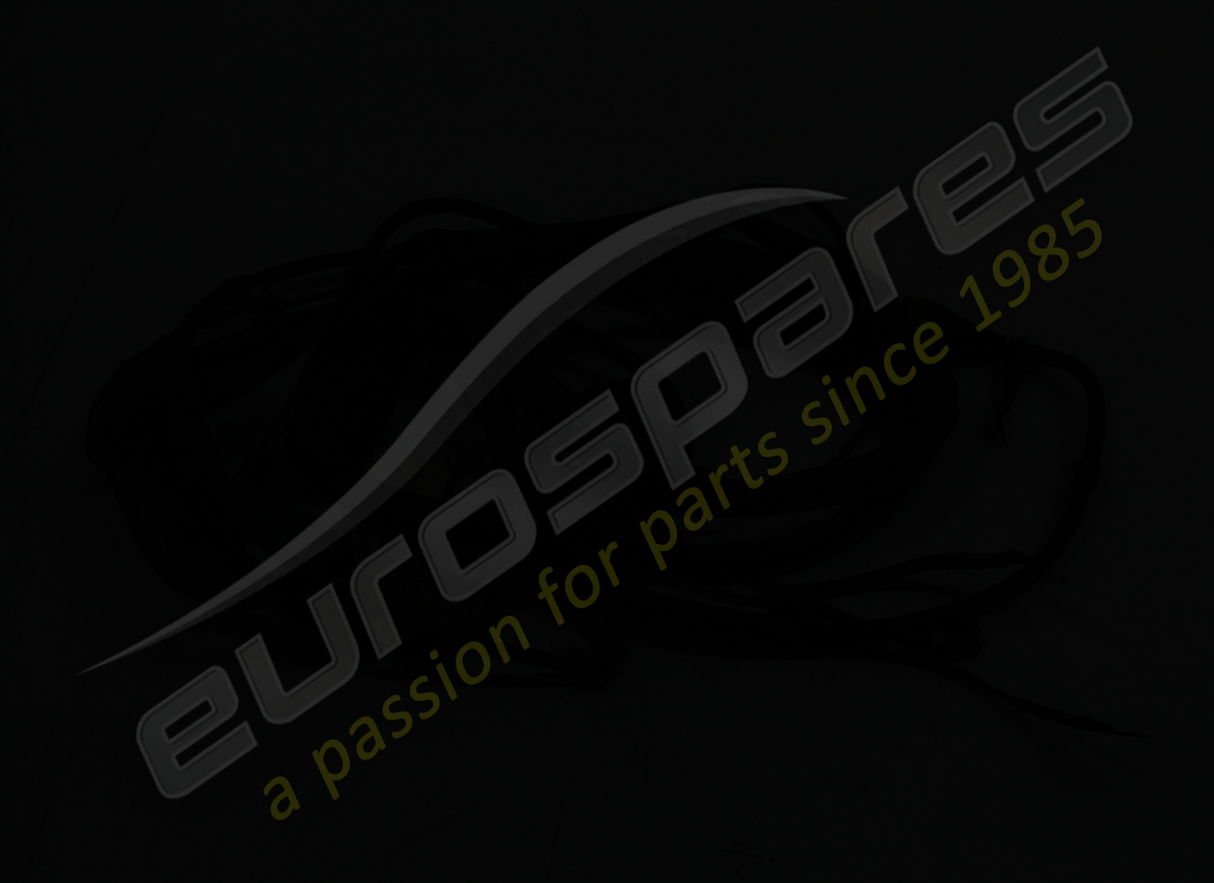 CAVI DI COLLEGAMENTO USATI FERRARI PER LH EN. NUMERO PARTE 200842 (2) cavi di collegamento usati ferrari per lh en. numero parte 200842 (2)