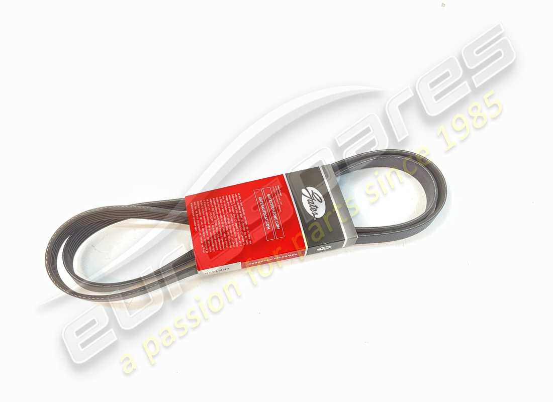 NUOVA CINGHIA Eurospares (ALTERNTORE/COMPRESSORE). NUMERO PARTE 97965 (1)