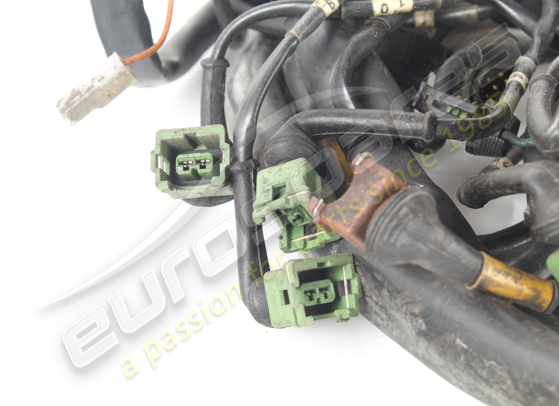 cablaggio di iniezione del motore usato lamborghini. numero parte 006132502 (3)