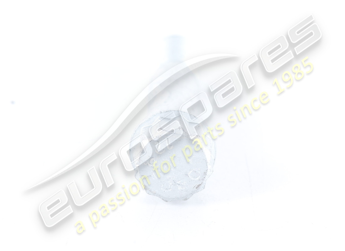 NUOVA VITE FERRARI. NUMERO PARTE 223916 (2) nuova vite ferrari. numero parte 223916 (2)