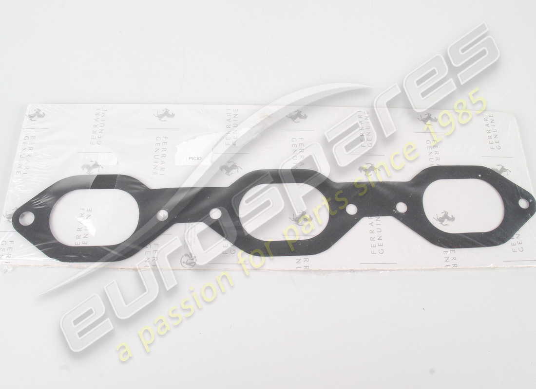 NUOVO Ferrari GUARNIZ. COLLEZIONISTA ASP E TE . NUMERO PARTE 318409 (1)