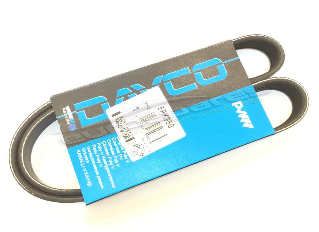 nuova cintura eurospares. numero parte 07l903137c (1)