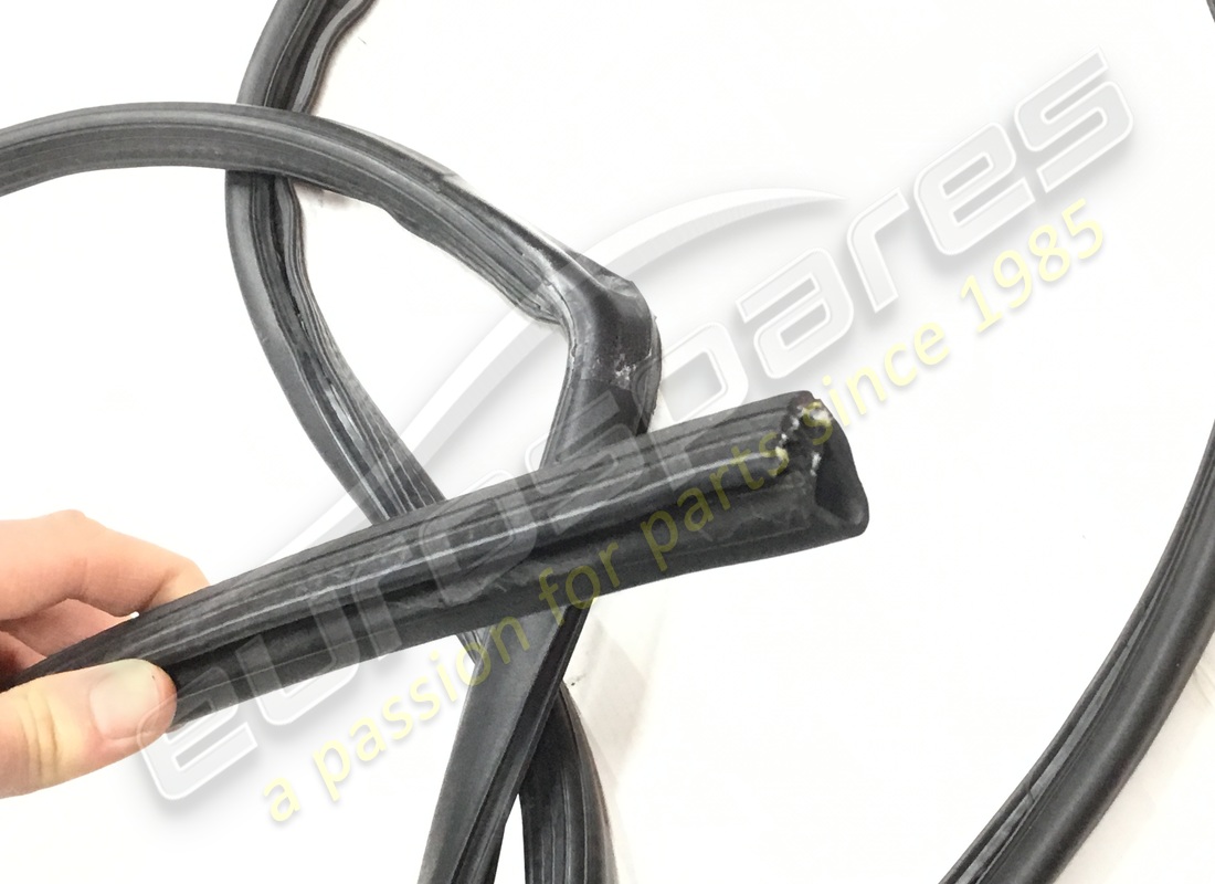 usata ferrari gomma gts per tetto posteriore/portiera. numero parte 64338900 (3)