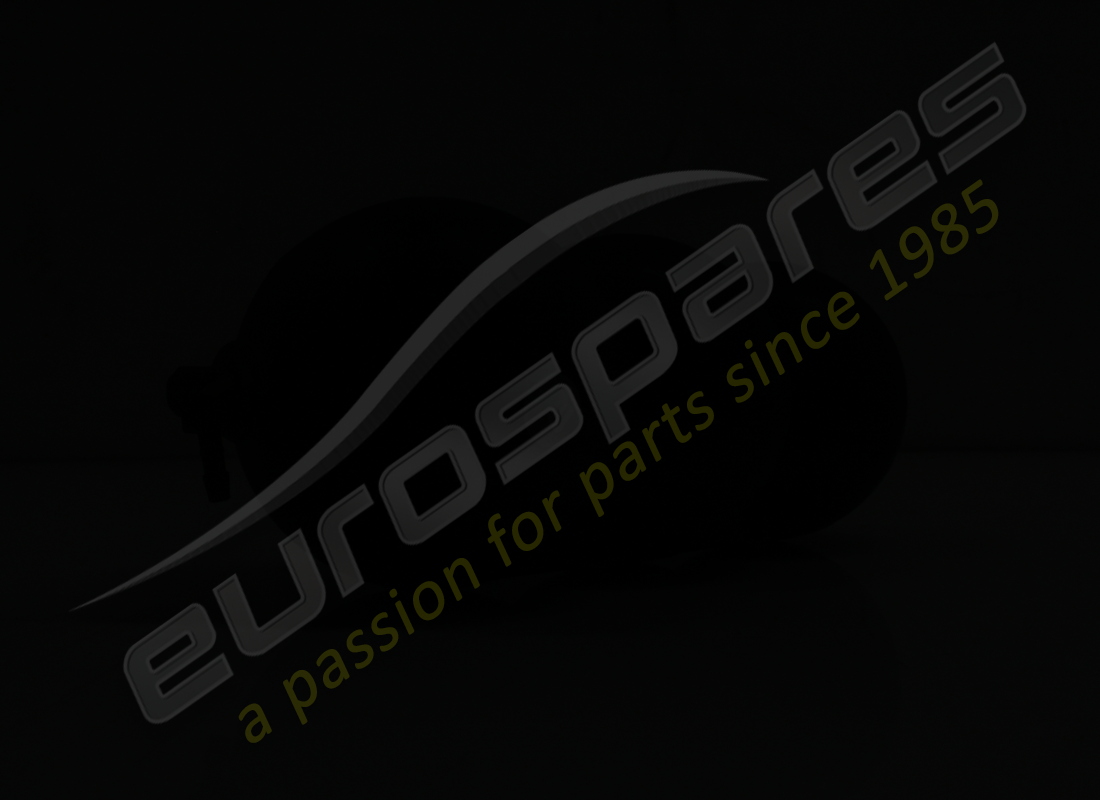 SERBATOIO A VUOTO LAMBORGHINI USATO. NUMERO PARTE 420131541 (2) serbatoio a vuoto lamborghini usato. numero parte 420131541 (2)