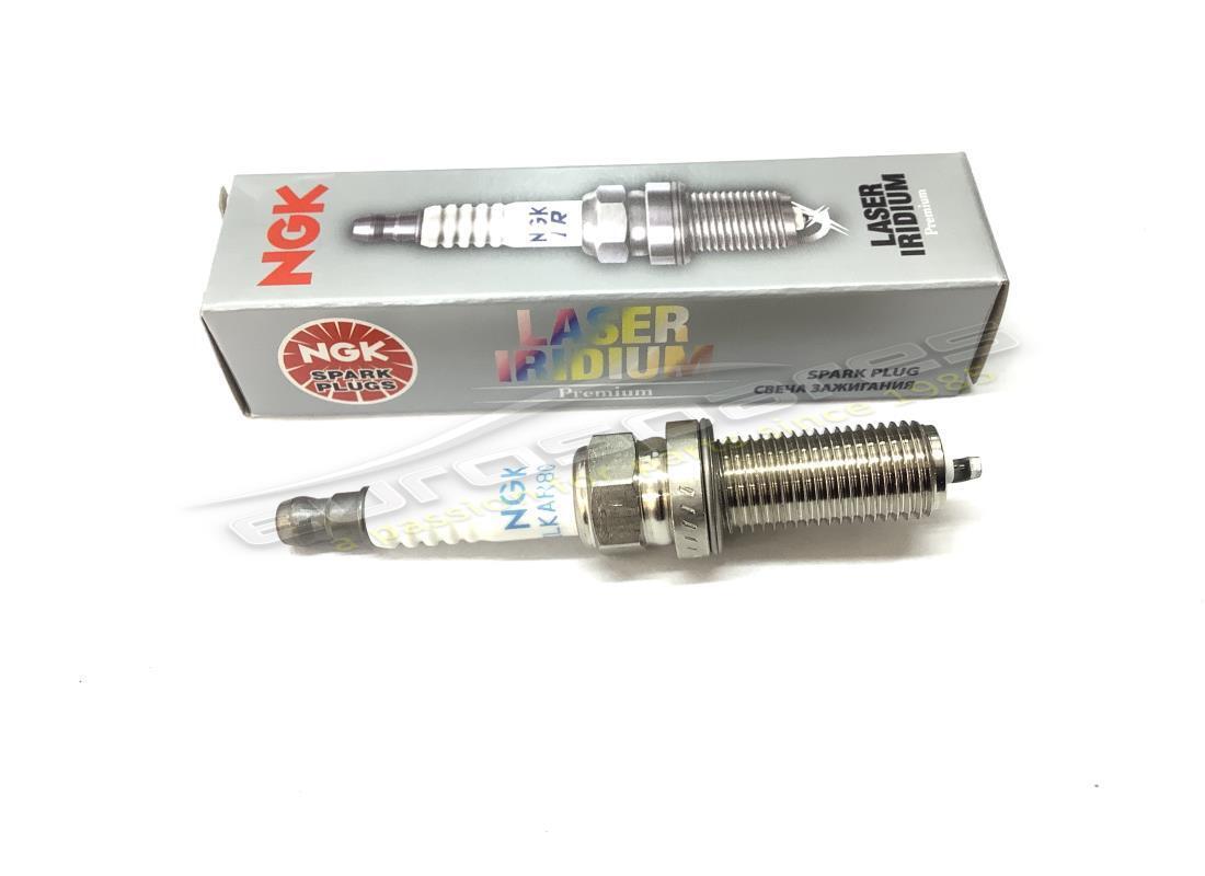 nuova candela eurospares (ngk). numero parte 310235 (1)