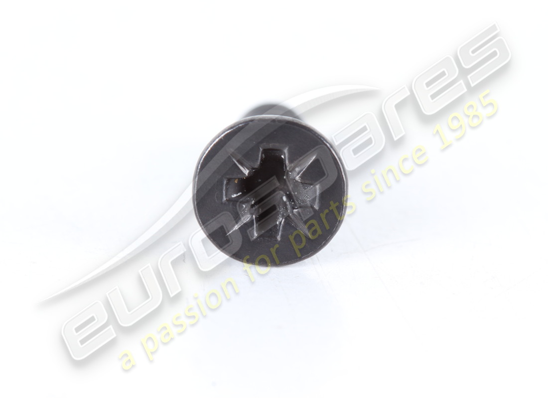 nuova vite ferrari. numero parte 15916977 (2)