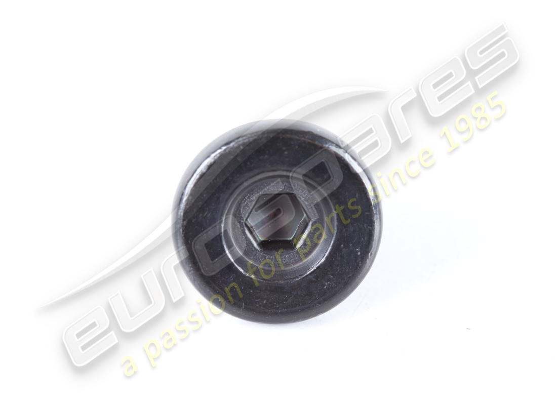 NUOVA VITE FERRARI. NUMERO PARTE 88164800 (2) nuova vite ferrari. numero parte 88164800 (2)