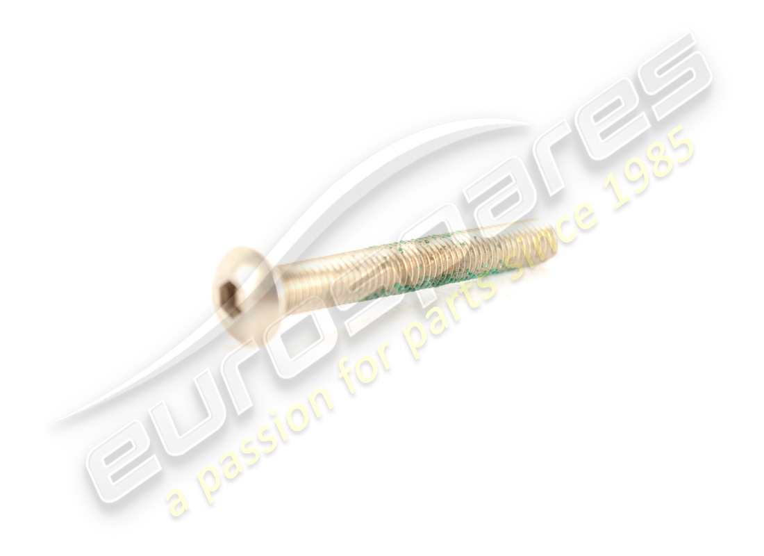 nuova vite ferrari. numero parte 65071800 (1)