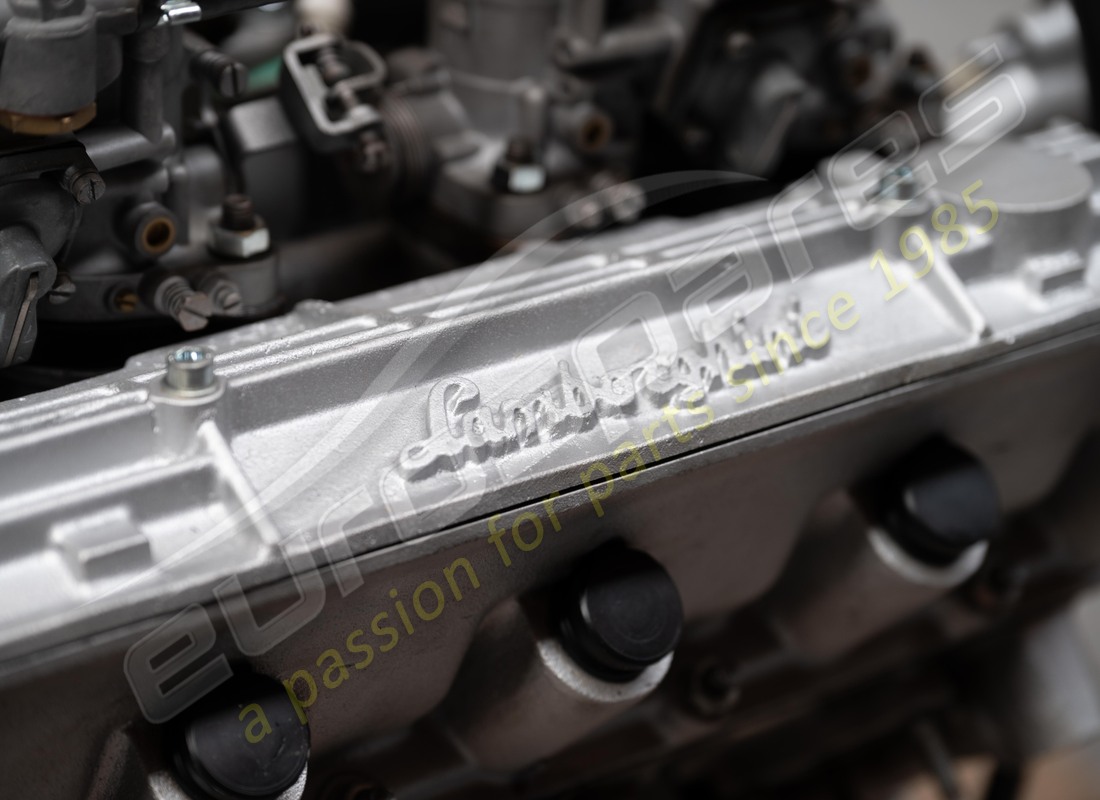 motore lamborghini p250 ricondizionato. numero parte 006139806 (11)