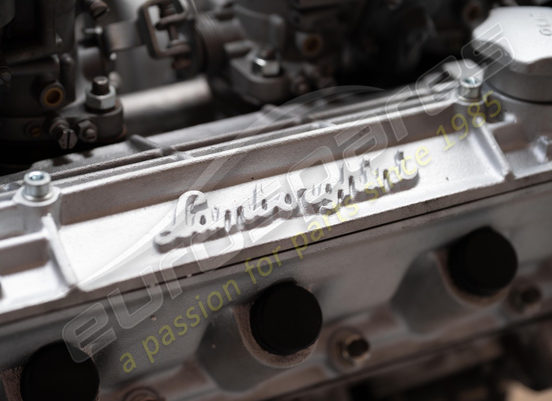 motore lamborghini p250 ricondizionato. numero parte 006139806 (15)