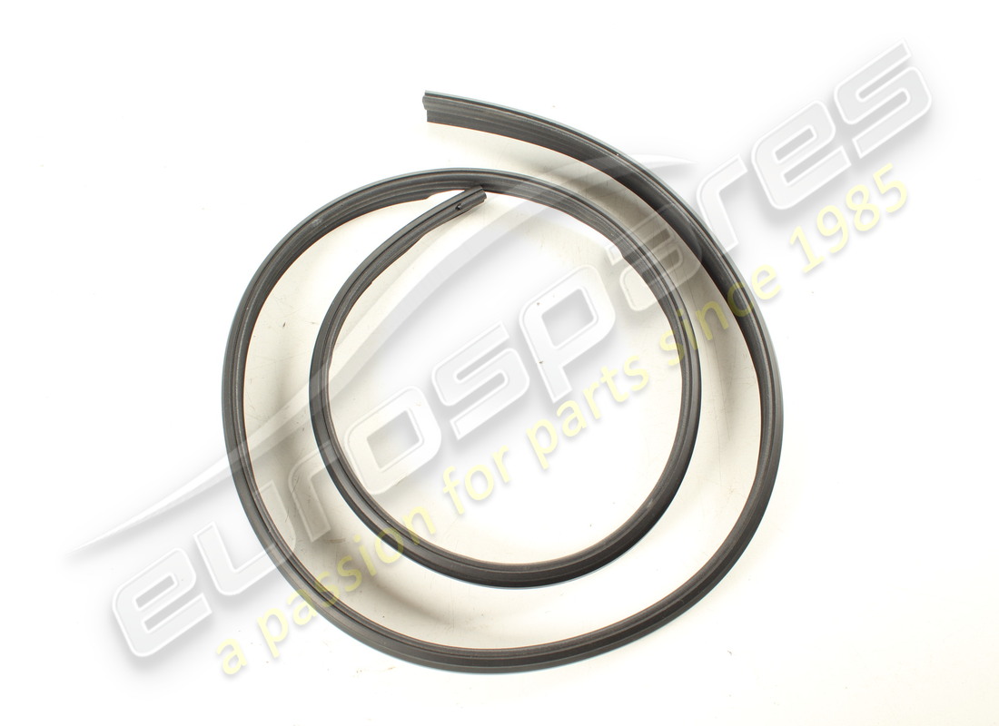 PROFILO DI TENUTA Lamborghini USATO. NUMERO PARTE 4ML854543A (1)