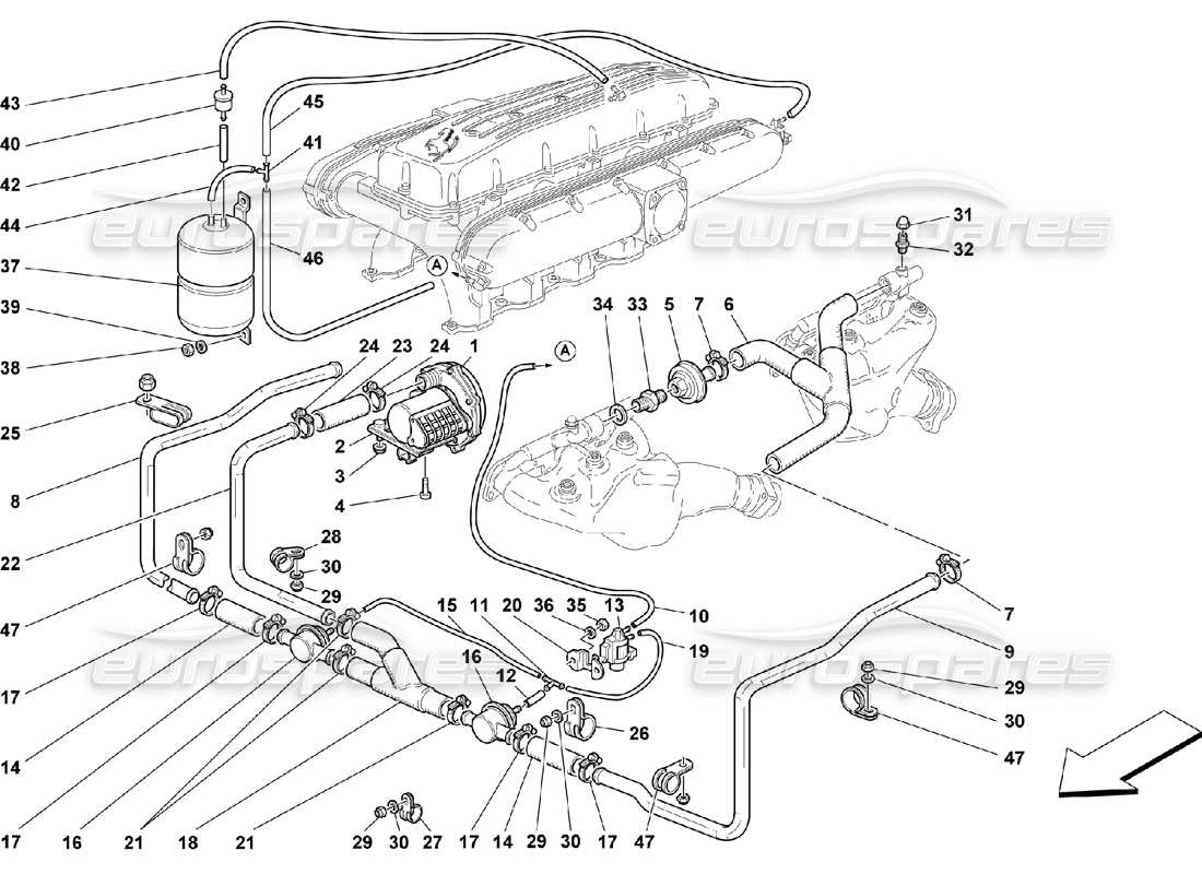 ferrari 550 maranello schema delle parti della pompa aria secondaria