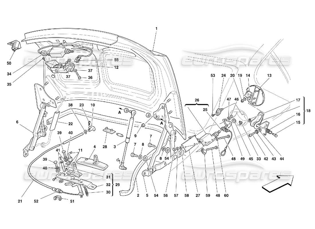 ferrari 456 m gt/m gta schema delle parti del cofano del cofano del bagagliaio e del coperchio della benzina