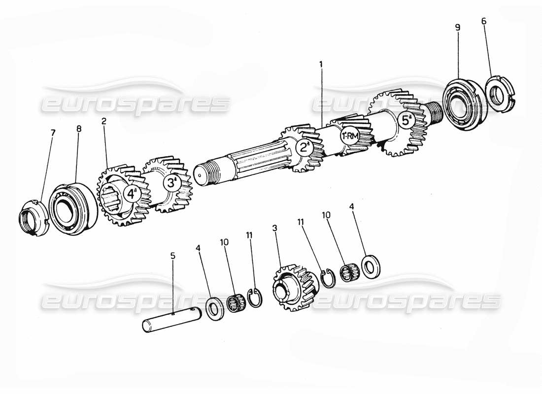 ferrari 365 gtc4 (mechanical) diagramma delle parti degli ingranaggi primari