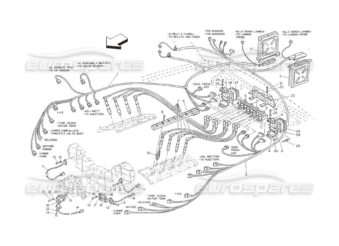 maserati shamal sistema di accensione e distribuzione diagramma delle parti