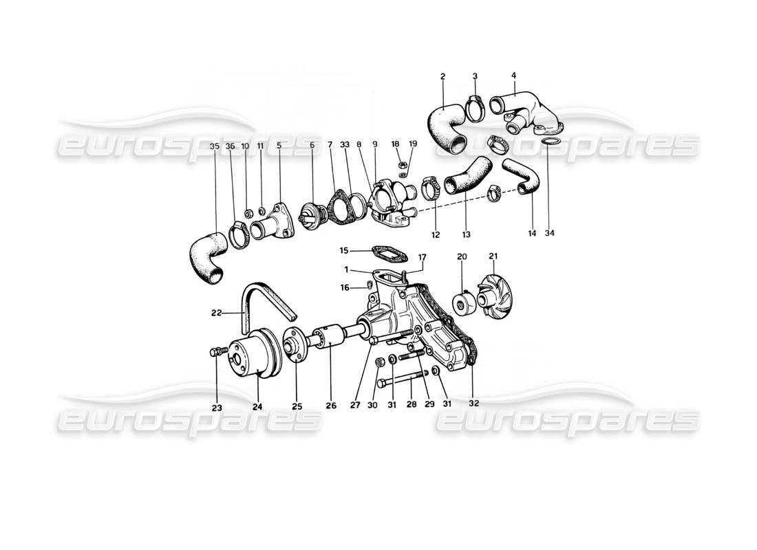 ferrari 246 dino (1975) pompa dell'acqua e tubi diagramma delle parti