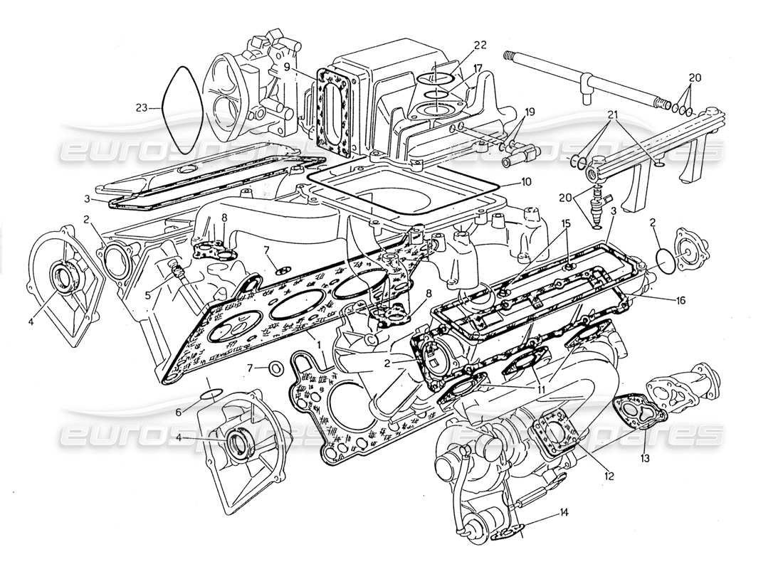 maserati 228 diagramma delle parti delle guarnizioni delle teste e delle gomme