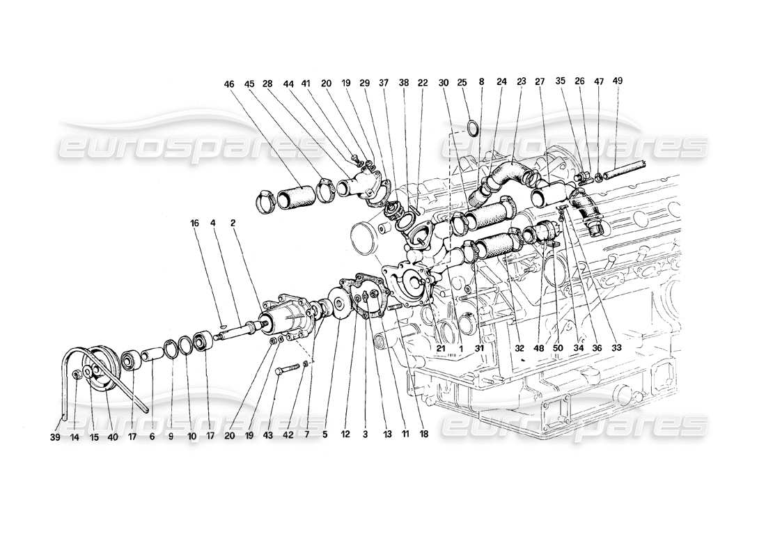 ferrari 308 (1981) gtbi/gtsi pompa dell'acqua e tubazioni diagramma delle parti