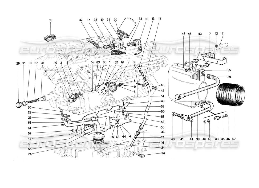 ferrari 308 (1981) gtbi/gtsi sistema di lubrificazione diagramma delle parti