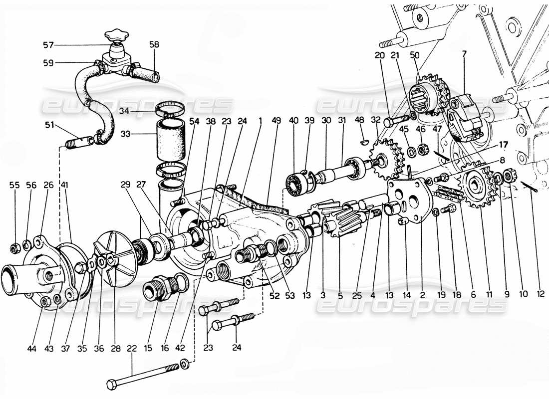 ferrari 365 gtc4 (mechanical) diagramma delle parti della pompa acqua e olio