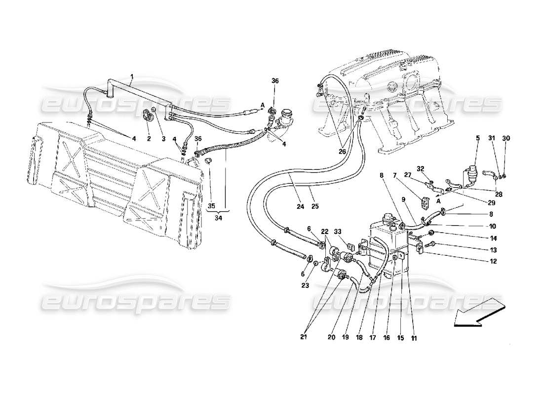 ferrari 348 (2.7 motronic) schema delle parti del dispositivo antievaporazione