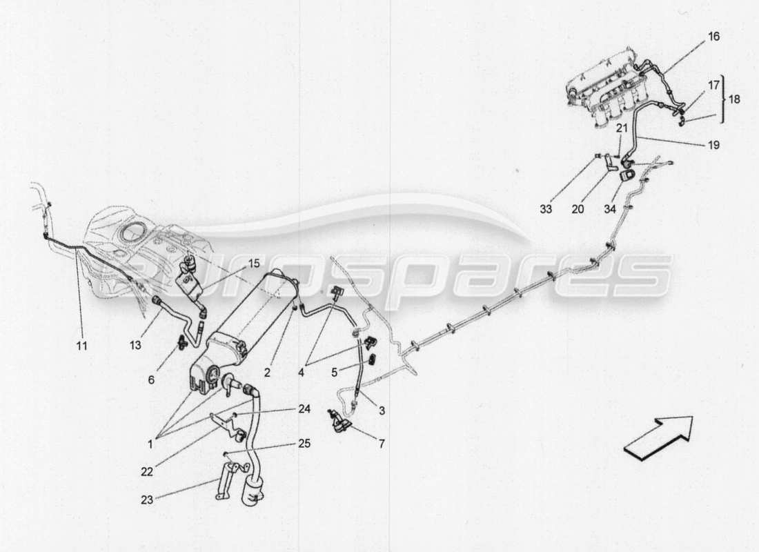 maserati qtp. v8 3.8 530bhp 2014 auto diagramma delle parti del sistema di ricircolo dei vapori di carburante