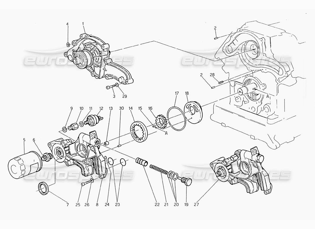 maserati 228 pompa dell'acqua - schema delle parti della pompa dell'olio