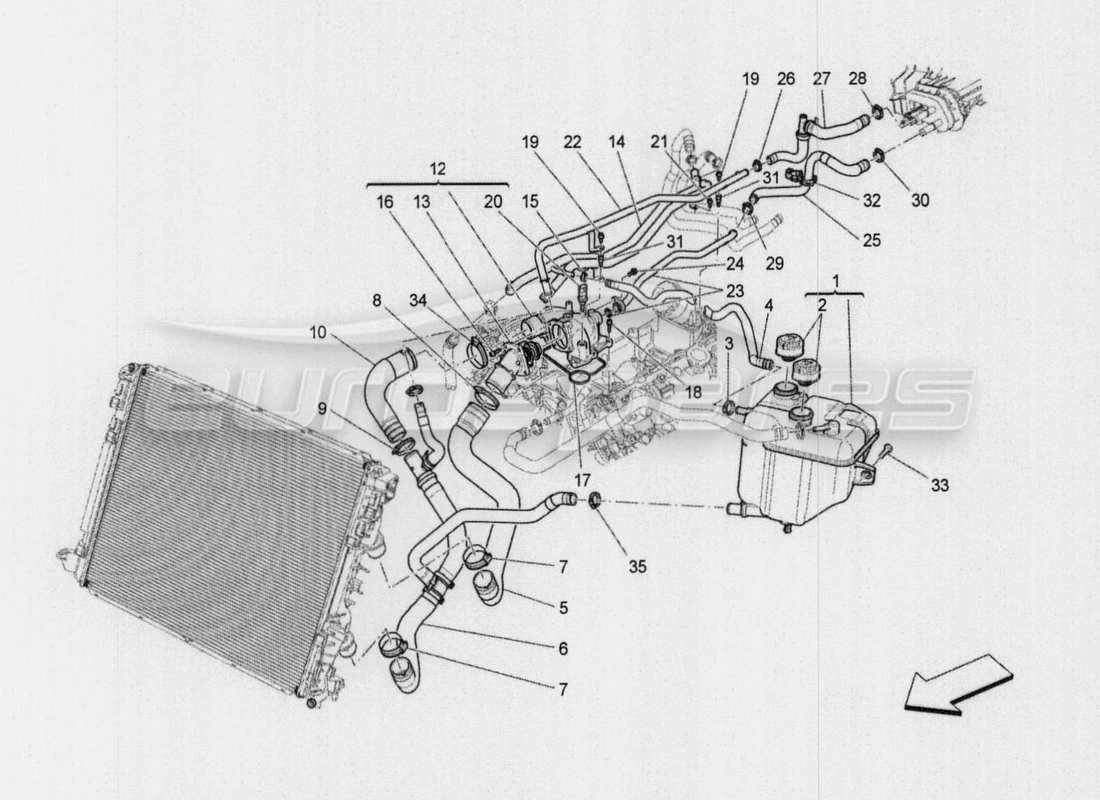 maserati qtp. v8 3.8 530bhp auto 2015 sistema di raffreddamento: diagramma delle parti di nourice e linee