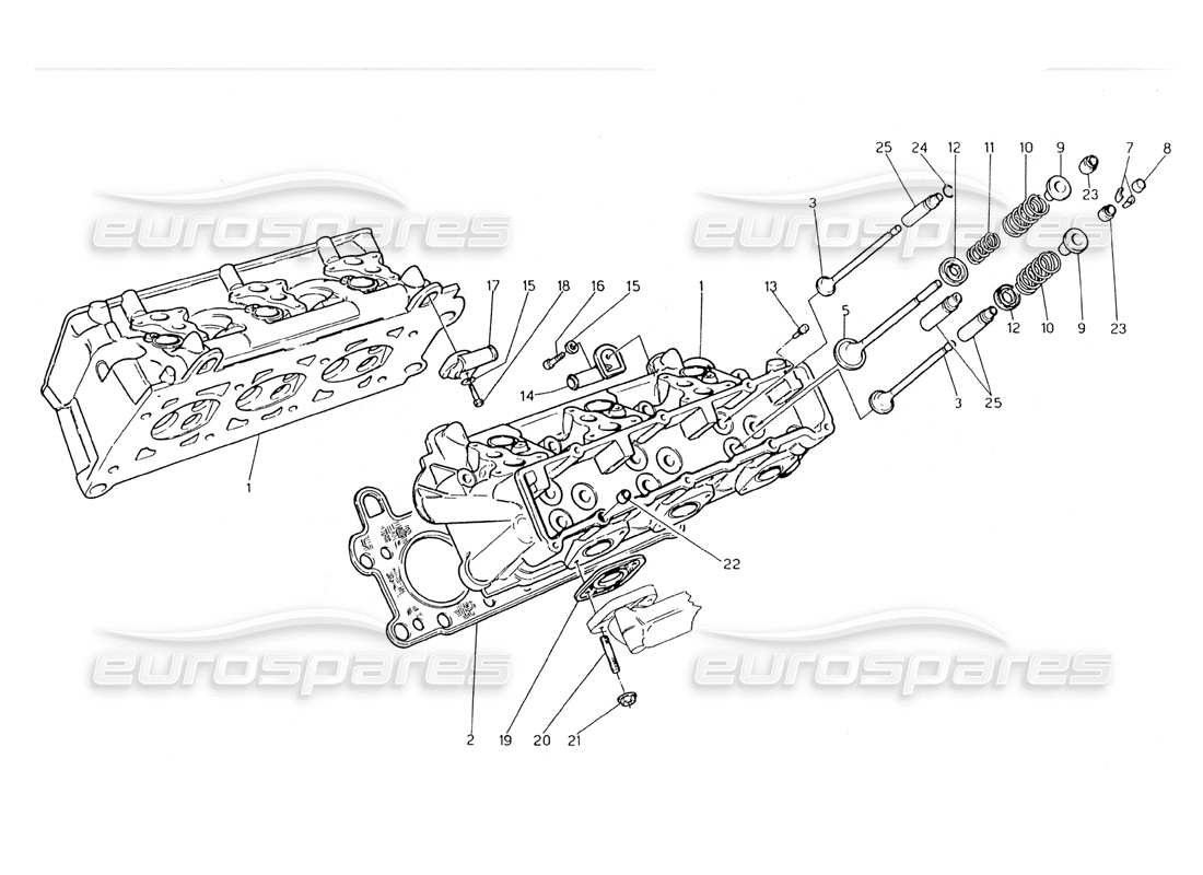 maserati 228 diagramma delle parti delle teste dei cilindri