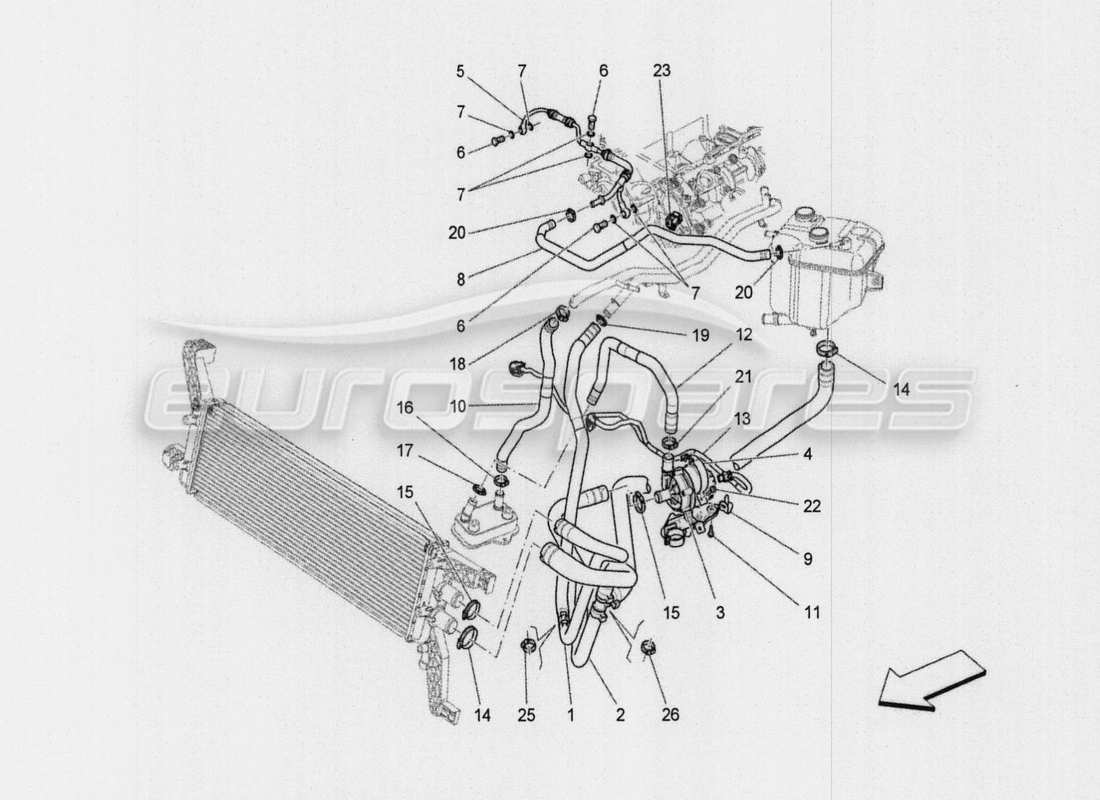 maserati qtp. v8 3.8 530bhp auto 2015 sistema di raffreddamento: diagramma delle parti di nourice e linee