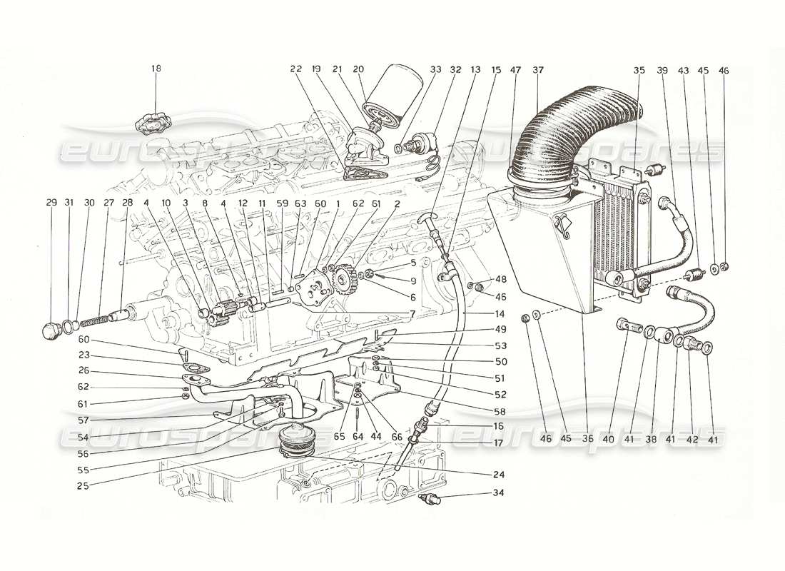 ferrari 308 gt4 dino (1976) diagramma delle parti del sistema di lubrificazione