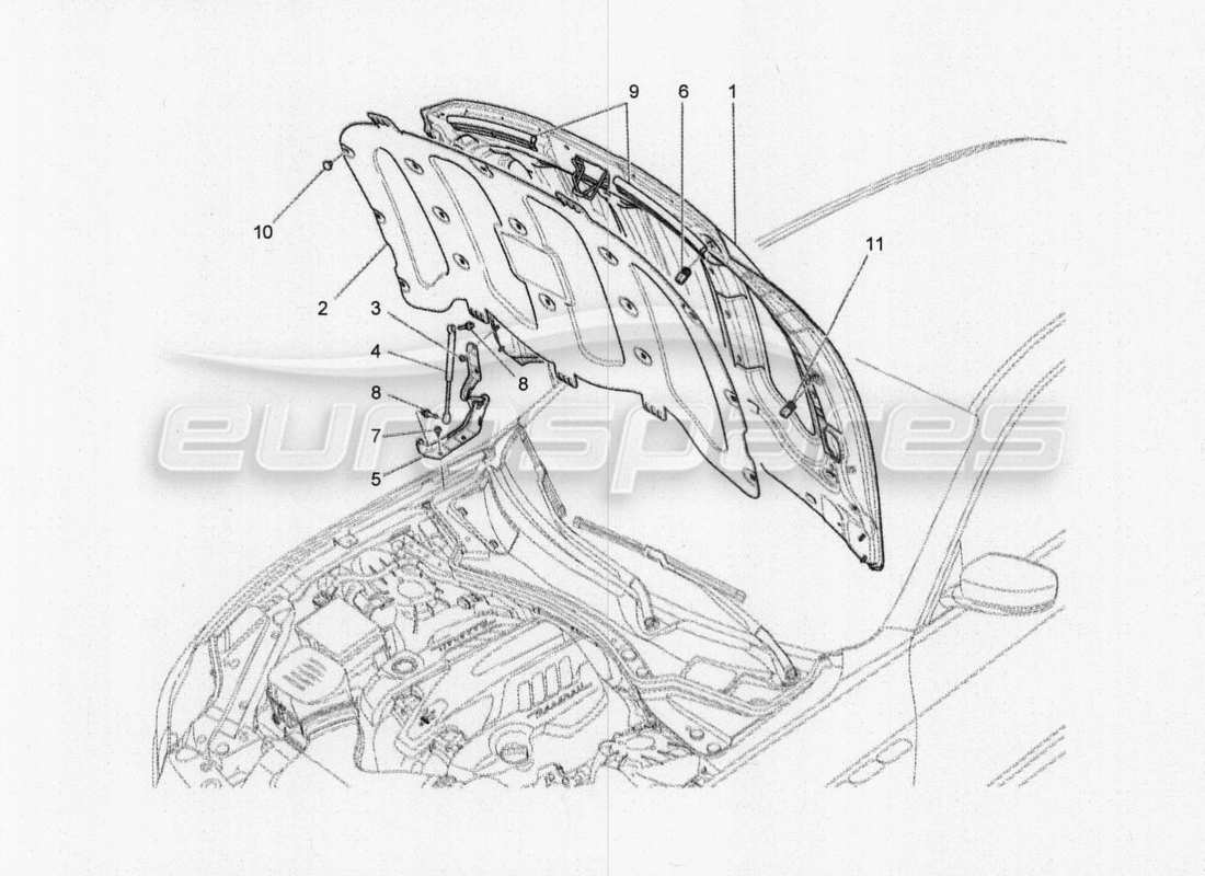 maserati qtp. v8 3.8 530bhp 2014 auto diagramma delle parti del coperchio anteriore