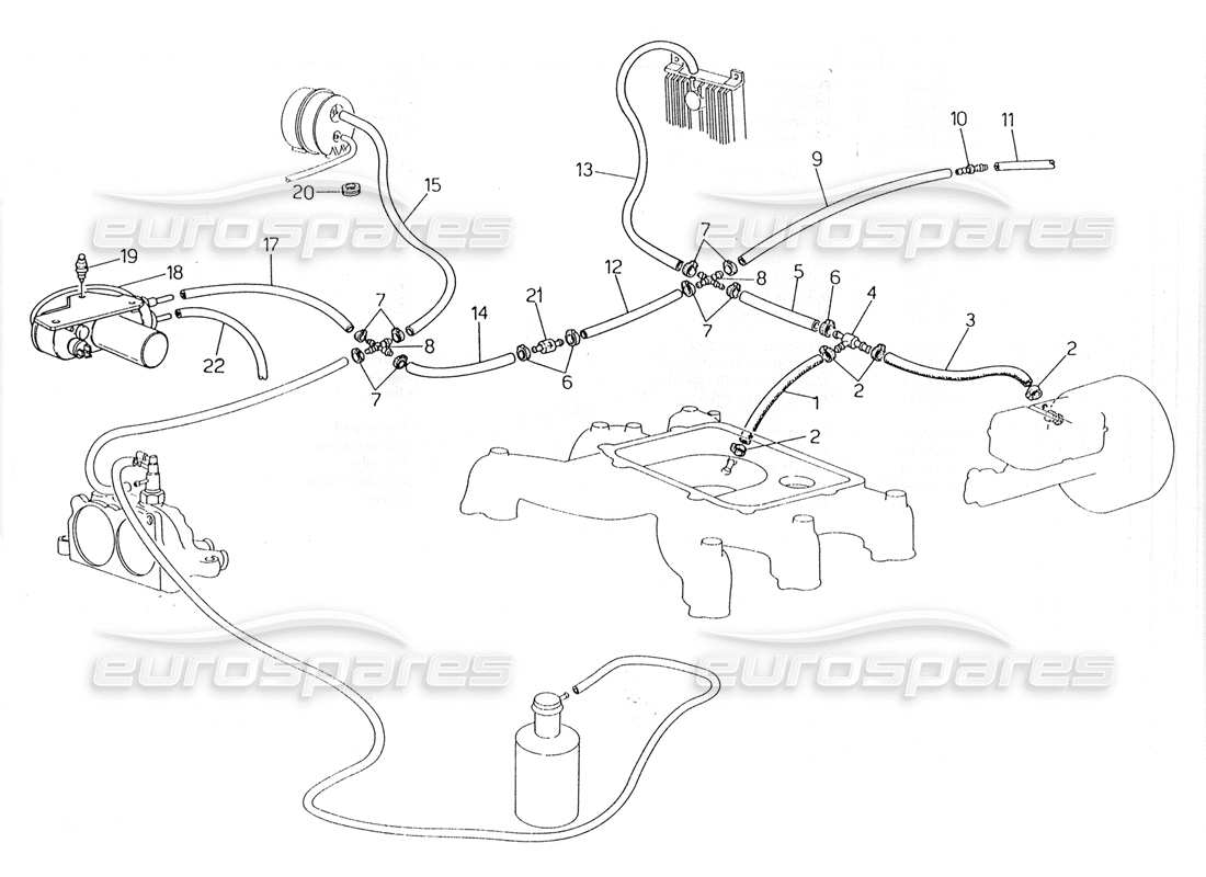 maserati 228 schema delle parti del sistema di evaporazione (sterzo sinistro con sonda lambda).