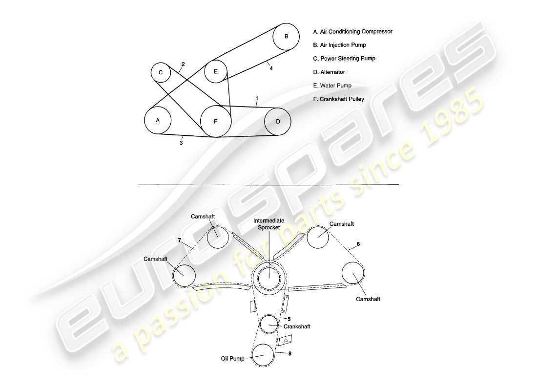 aston martin v8 coupe (2000) diagramma delle parti di cinghie e catene