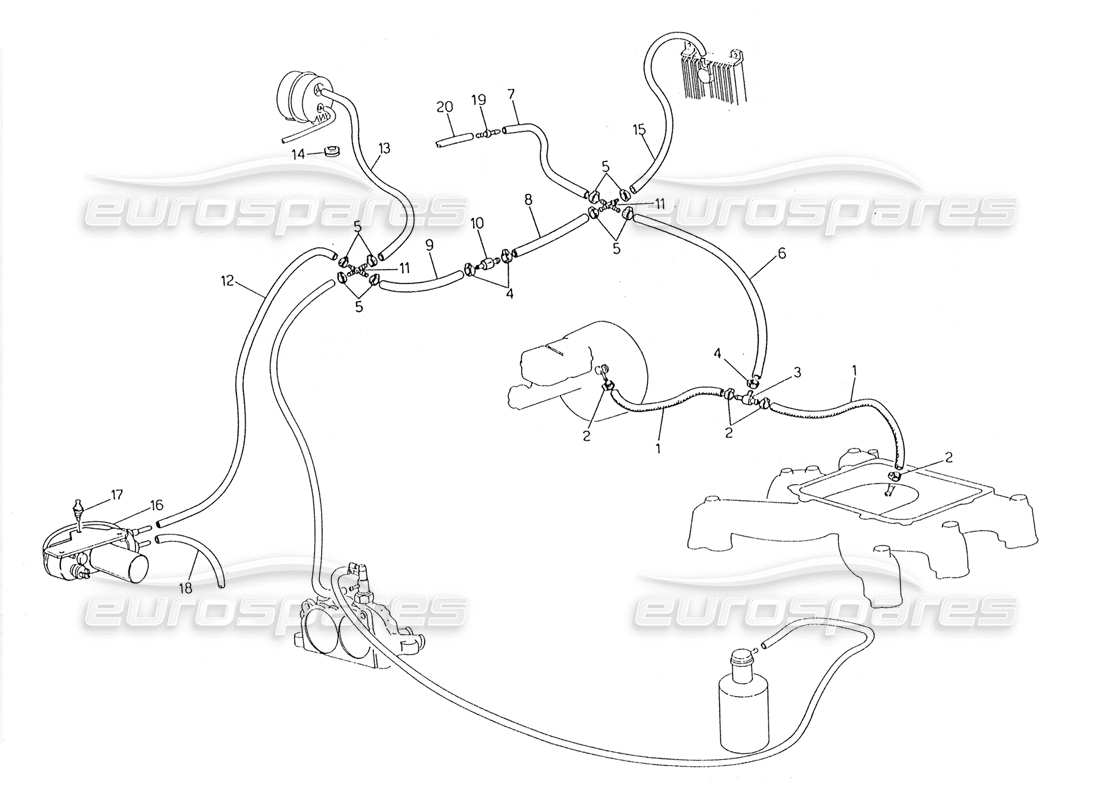 maserati 228 schema delle parti del sistema di evaporazione (sterzo destro con sonda lambda).