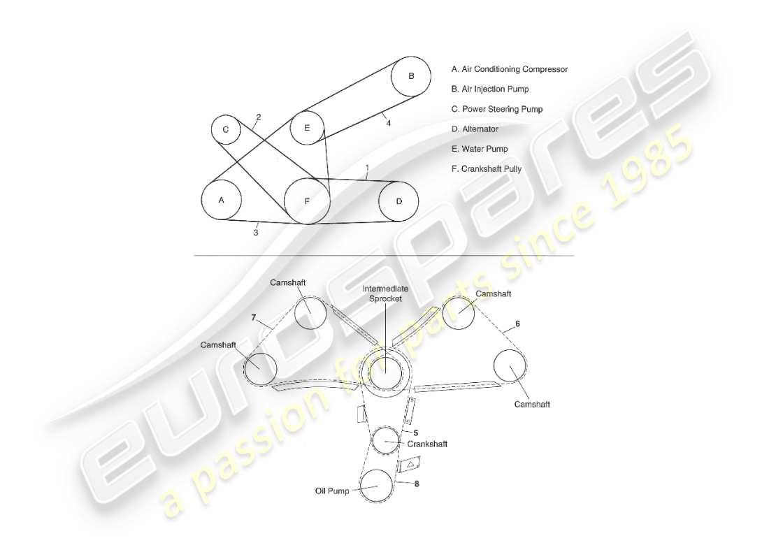 aston martin v8 virage (1999) diagramma delle parti di cinghie e catene