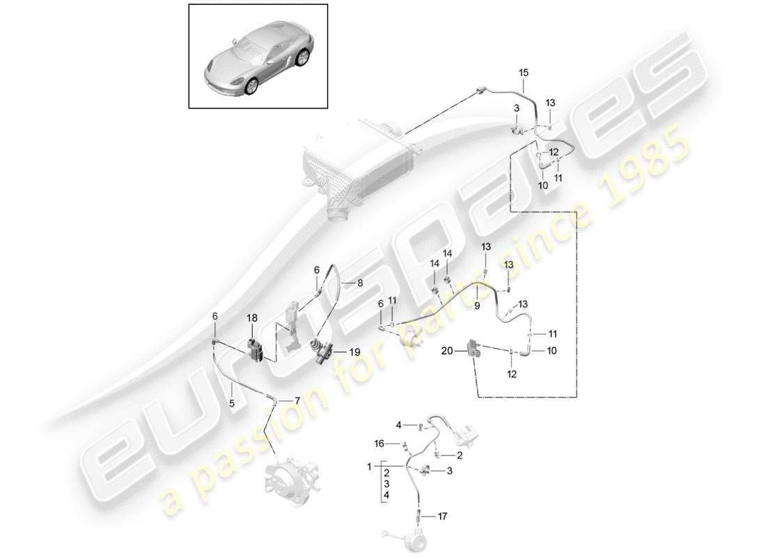 porsche 2020 (718 cayman) linea di controllo diagramma delle parti