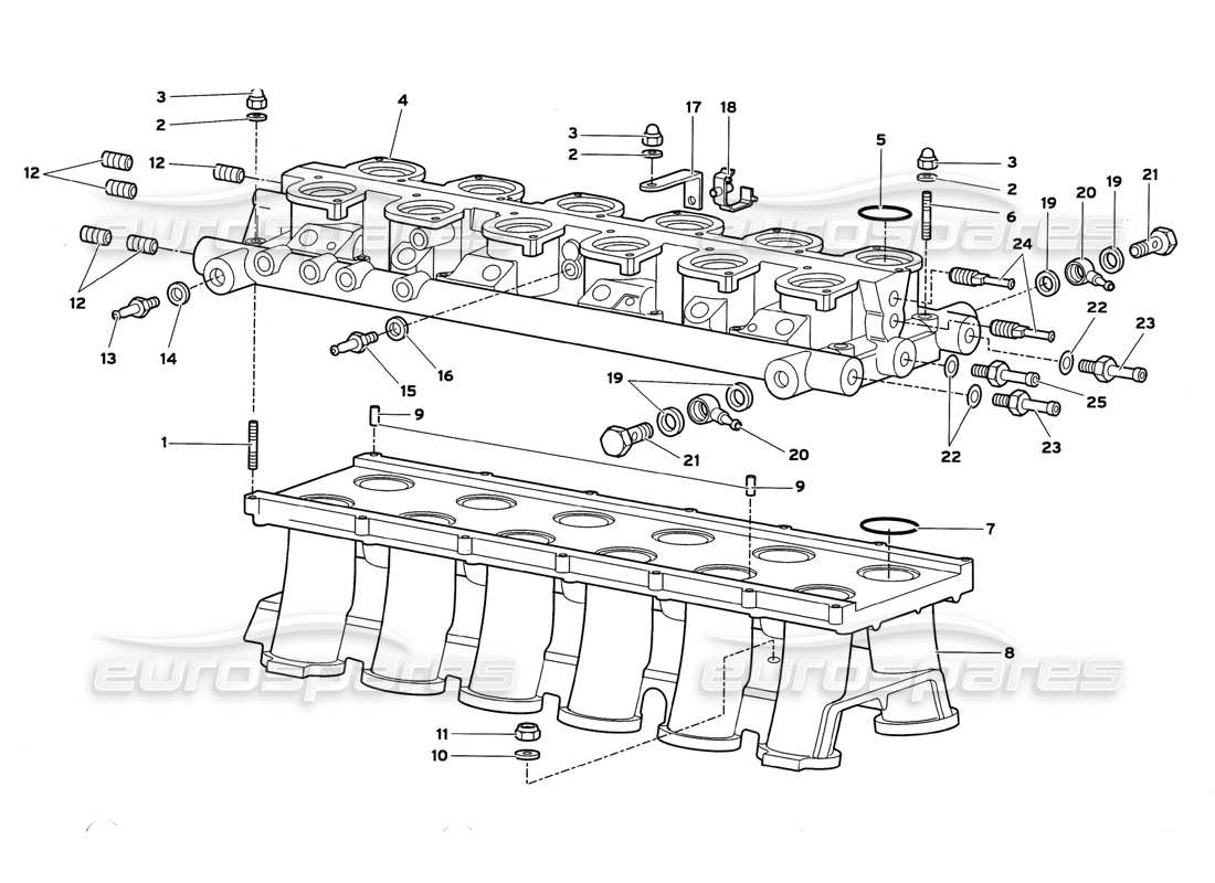 lamborghini diablo gt (1999) collettore di aspirazione diagramma delle parti