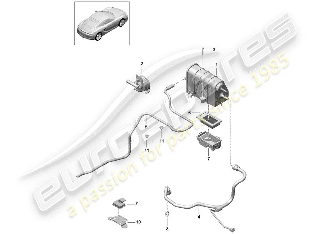 porsche 2015 (981 cayman) schema delle parti del contenitore per emissioni evaporative