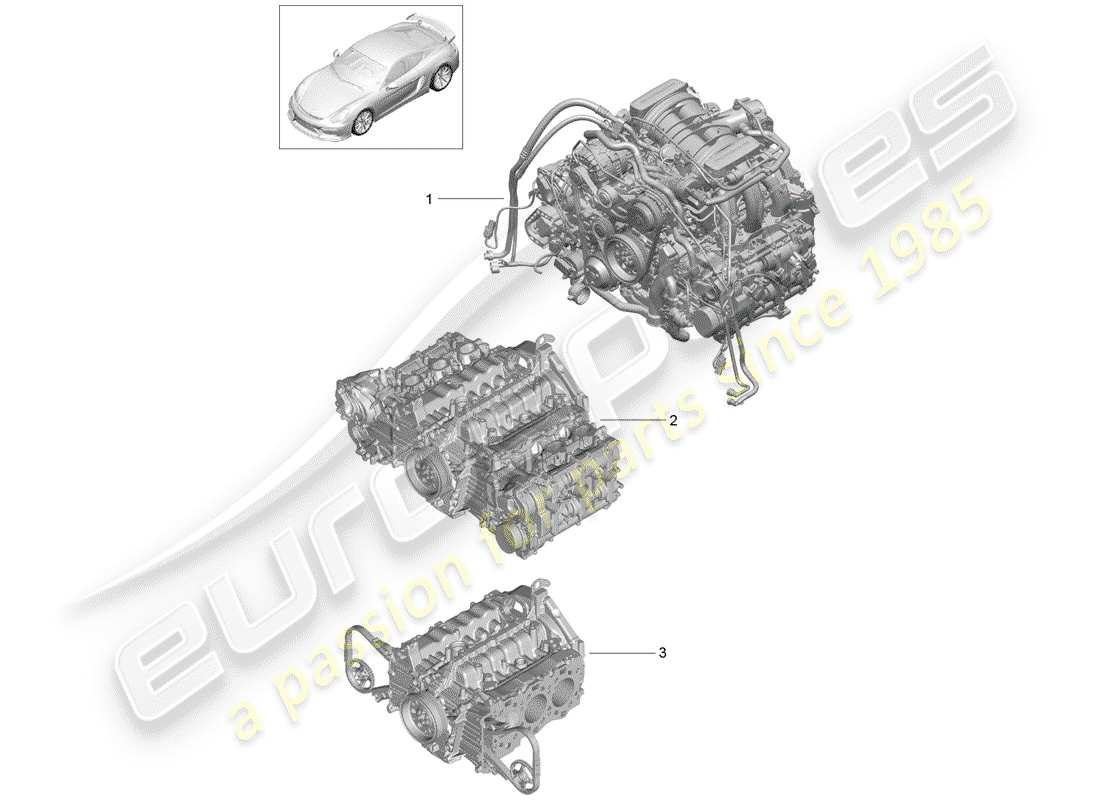 porsche 2016 (981 cayman gt4) motore di sostituzione schema delle parti