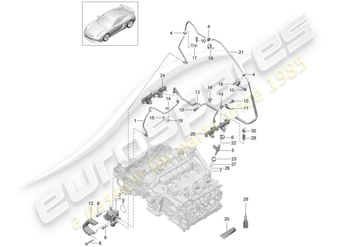 porsche 2016 (981 cayman gt4) tubo raccolta carburante schema delle parti