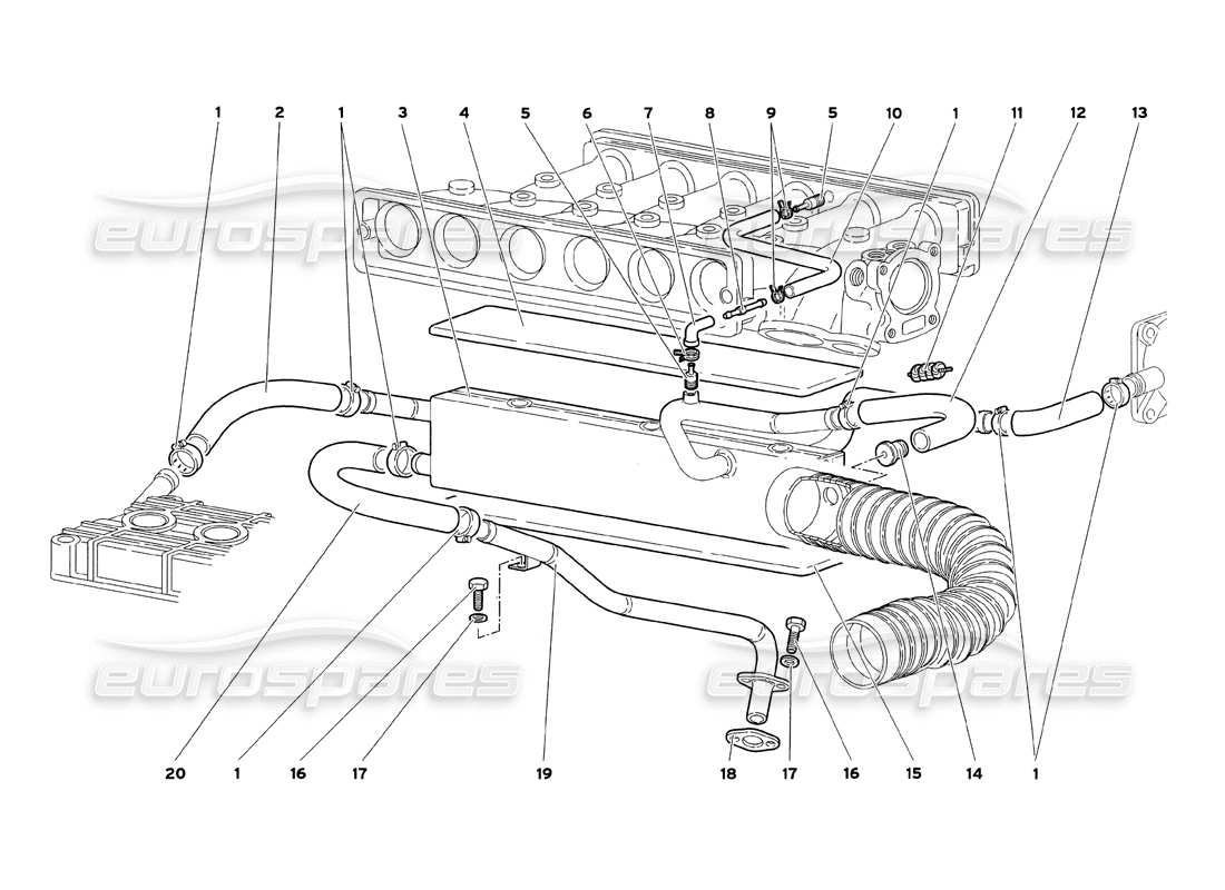 lamborghini diablo sv (1999) sistema di respirazione dell'olio motore diagramma delle parti