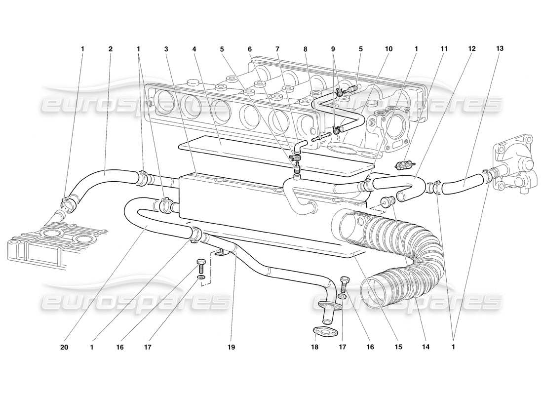 lamborghini diablo sv (1998) sistema di respirazione dell'olio motore diagramma delle parti