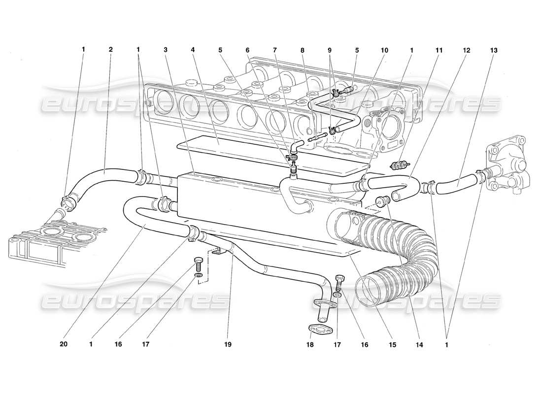 lamborghini diablo roadster (1998) diagramma delle parti del sistema di respirazione dell'olio motore