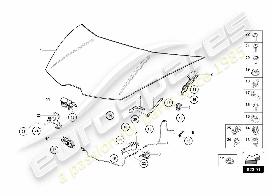 lamborghini performante coupe (2020) diagramma delle parti del cofano