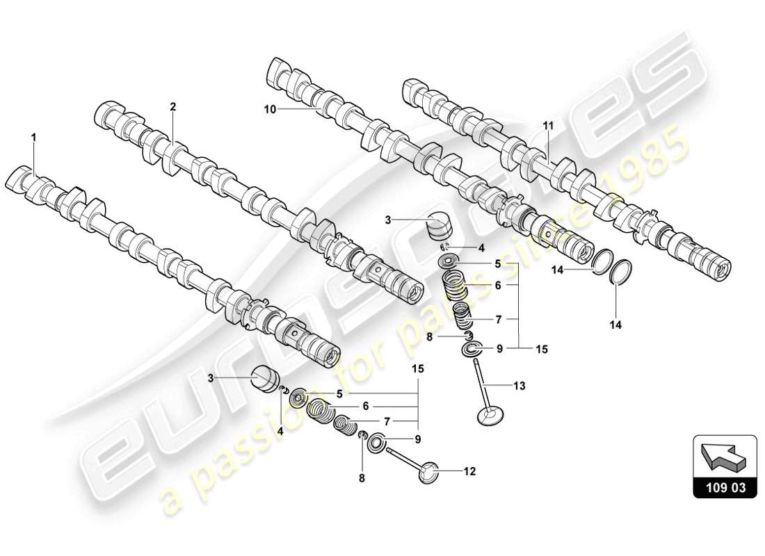 lamborghini lp720-4 coupe 50 (2014) diagramma delle parti delle valvole dell'albero a camme