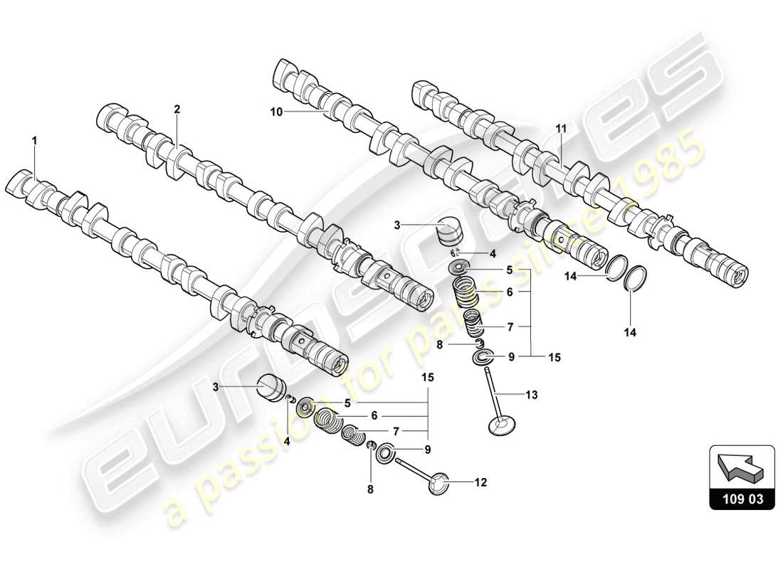 lamborghini lp720-4 coupe 50 (2014) valvole albero a camme diagramma delle parti